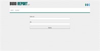 Budo Web Report